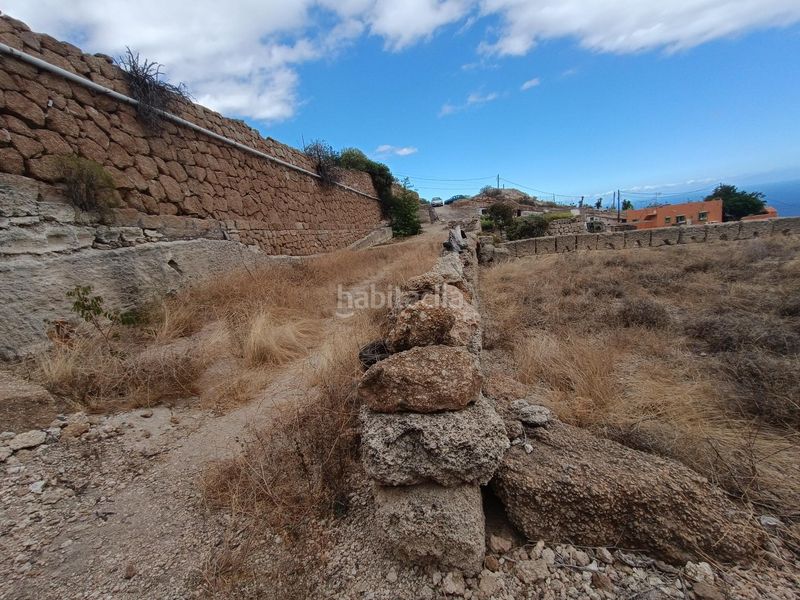 Foto ec1aa6e4-6a51-4deb-8e8e-06d3c7763d12. Finca rústica a Fasnia