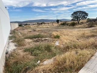 Residential Plot in Mirandilla. Oportunidad de finca urbana en venta en mirandilla!