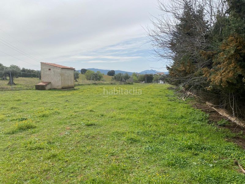 Foto 44b1208b-563e-46e3-adb8-357b3c3b42f5. Finca rústica a Valverde de Mérida