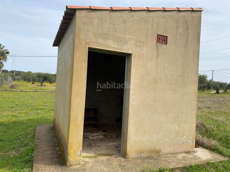 Foto 76ab6304-0a71-419d-88c8-c9ca52f0eb98. Finca rústica a Valverde de Mérida