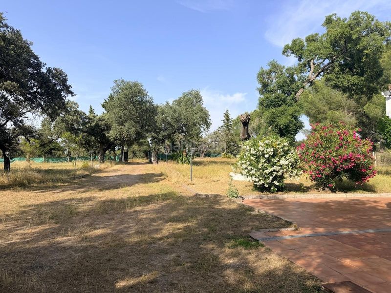 Foto 3f7fa79d-a556-45d9-a39d-de93daaaba01. Xalet amb piscina a Ciudad Jardín Badajoz