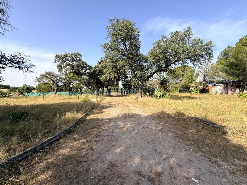 Foto cd3de4b8-4a58-4c77-ac88-c16ee229424c. Xalet amb piscina a Ciudad Jardín Badajoz