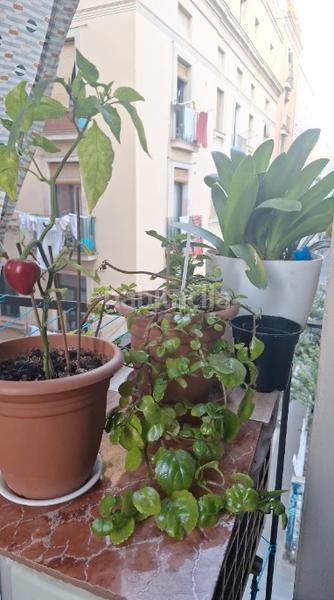 Foto d4c4ad18-a7b2-4aaf-9cdd-a8bac2aa33d6. Flat with heating in Sagrada Família Barcelona