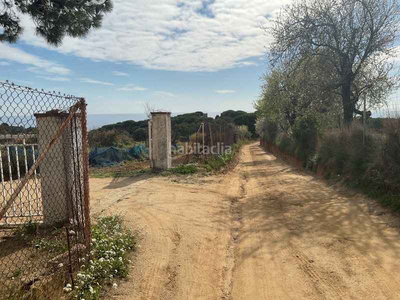 Foto a4931f42-ad5d-4c71-b2d9-6bb6bdb0114f. Finca rústica a Arenys de Munt
