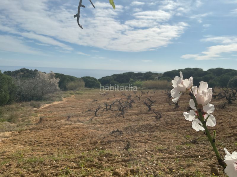 Foto c3e07c05-b086-40ce-8d72-8c958e977d04. Finca rústica a Arenys de Munt