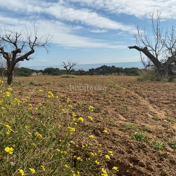 Foto dd4f4a15-5c52-43d8-af78-99a3ced883ac. Finca rústica a Arenys de Munt