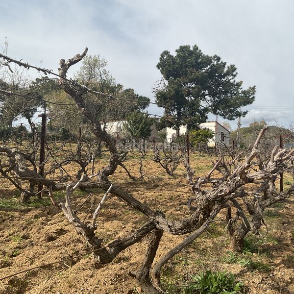 Foto e42771e0-e378-4e76-978f-2554f06391f2. Finca rústica a Arenys de Munt