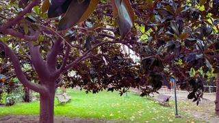 Appartement à Passeig de la Bonanova