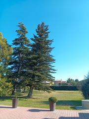 Chalet in Carrer diagonal 1. Casa senyorial del s.xx  amb magne jardí de 2570 m2