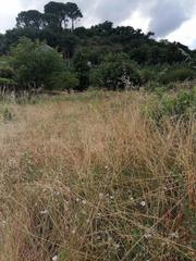 Terreno residencial en A Carballeira