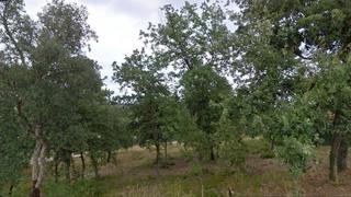 Terreny residencial  Carrer del priorat. Parcel.la a mas llunés - bescanó