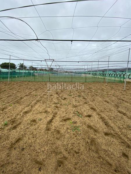 Foto b454a333-560b-4a95-a922-8eb8ef3e1257. Masia amb aparcament a La Jara Sanlúcar de Barrameda