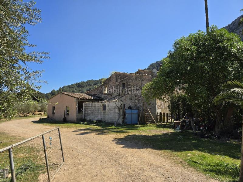 Foto 607c2532-39d3-41e6-8a20-29714eda1a83. Casale con piscina in Pollença poble Pollença