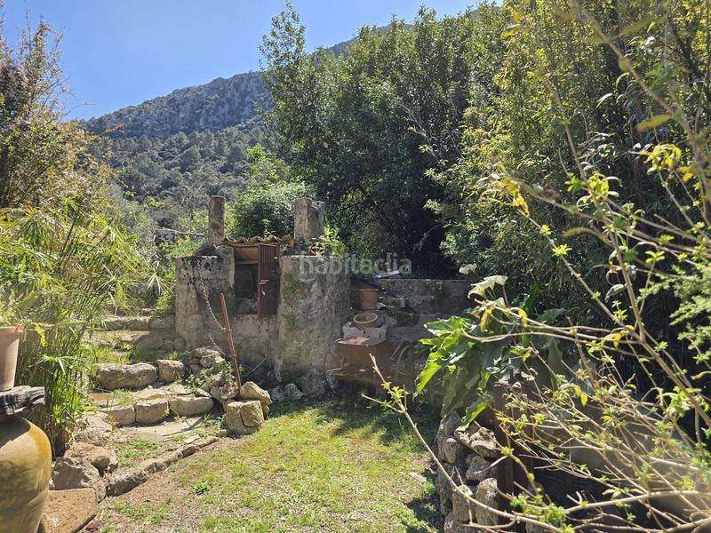 Foto dc109db6-27f5-46aa-89e3-1b9a8519435e. Casale con piscina in Pollença poble Pollença