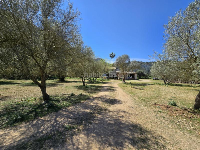 Foto e2a27933-2721-43d1-8a9b-e39902f60139. Casale con piscina in Pollença poble Pollença