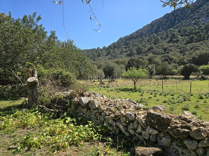 Foto fcf1b558-6ad1-4edb-881b-21291f2163a8. Casale con piscina in Pollença poble Pollença