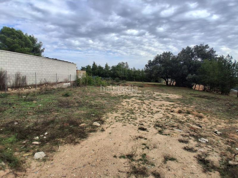 Foto 04e7ab76-4912-49a7-a1ac-66efac207e72. Terreno residencial terreno urbano en venta en Almensilla