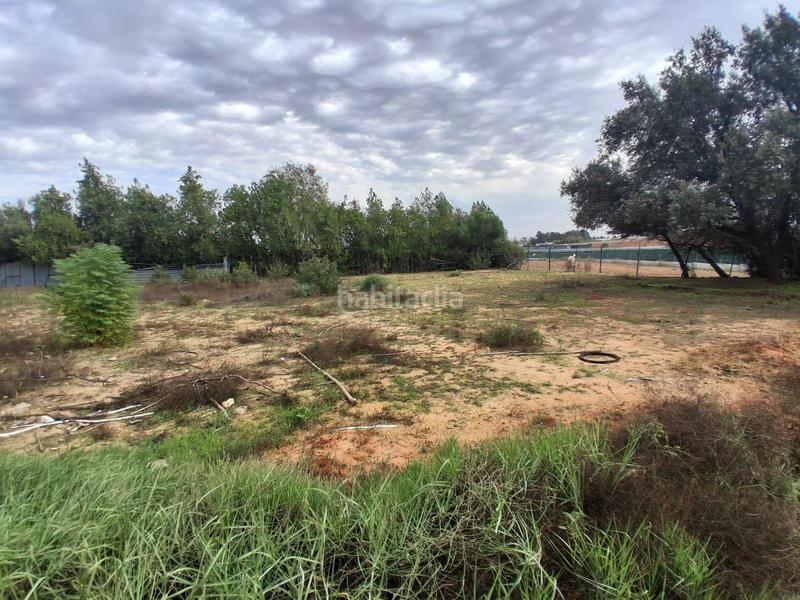 Foto 0d5b2579-1778-46e2-b772-7af917dc4eb6. Terreno residencial terreno urbano en venta en Almensilla