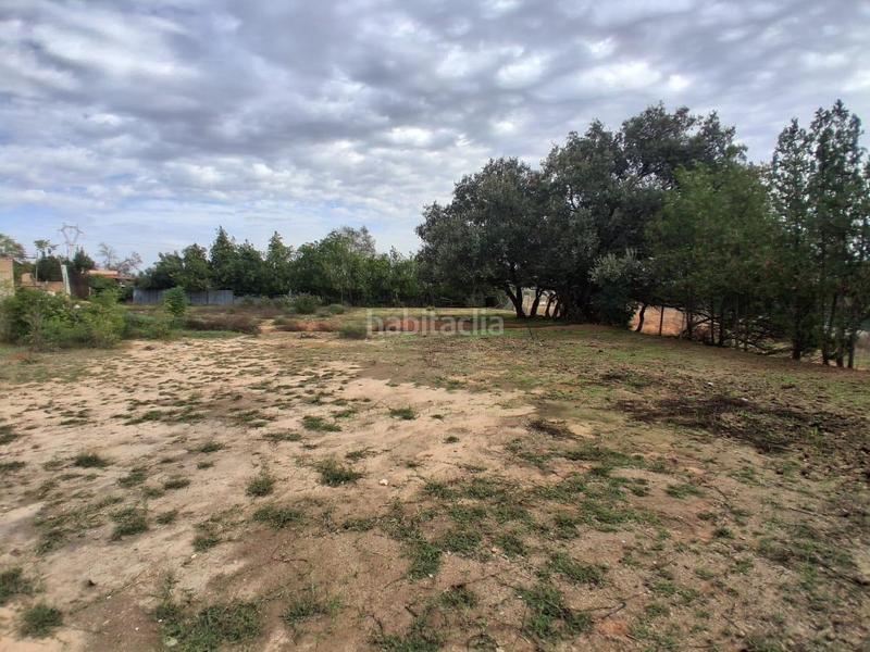 Foto 17bf2acc-c7fa-4283-a242-317543583e2d. Terreno residencial terreno urbano en venta en Almensilla