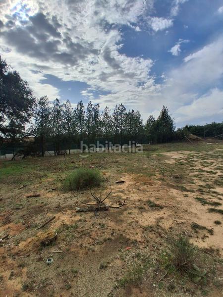 Foto 1ed78f8e-c75e-4837-806e-93232da4a845. Terreno residencial terreno urbano en venta en Almensilla