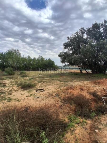 Foto 25f33cb2-1f6c-456f-94eb-63c58104feec. Terreno residencial terreno urbano en venta en Almensilla