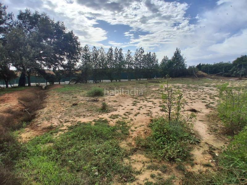 Foto 299e5544-ef8b-4c0a-b473-e0ba538a35c9. Terreno residencial terreno urbano en venta en Almensilla