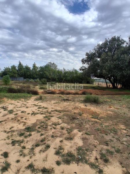 Foto 38a23827-c5fb-4ead-8158-414829626031. Terreno residencial terreno urbano en venta en Almensilla