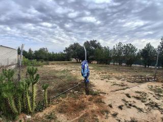 Terreno residencial en Almensilla. Terreno urbano en venta