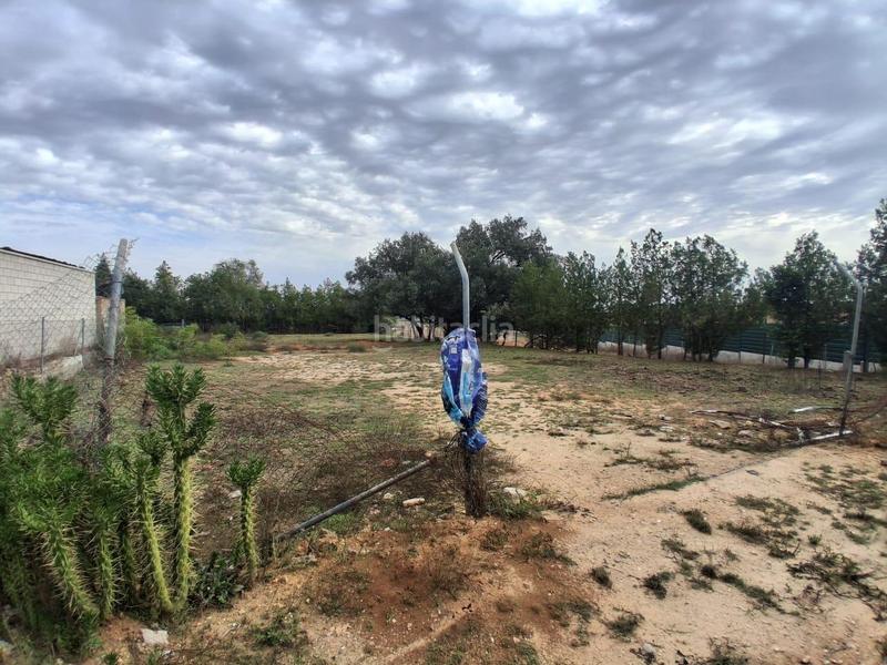 Foto 68c0d596-1491-4831-a93f-7f88eb66e28f. Terreno residencial terreno urbano en venta en Almensilla