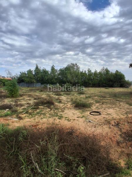 Foto 9fee3d0d-4463-42df-8d4b-6ce0b2531e78. Terreno residencial terreno urbano en venta en Almensilla