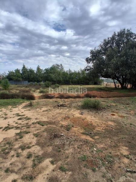 Foto a3380900-f5b8-47a2-864f-c3a57d7a6dbd. Terreno residencial terreno urbano en venta en Almensilla