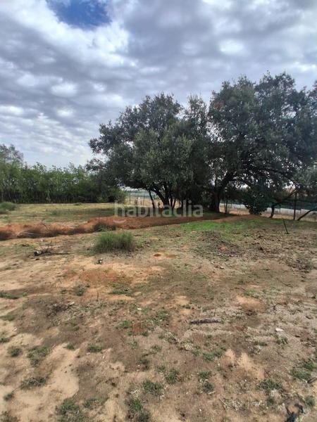 Foto c7d7bfbe-83ad-4128-a202-fae934925676. Terreno residencial terreno urbano en venta en Almensilla