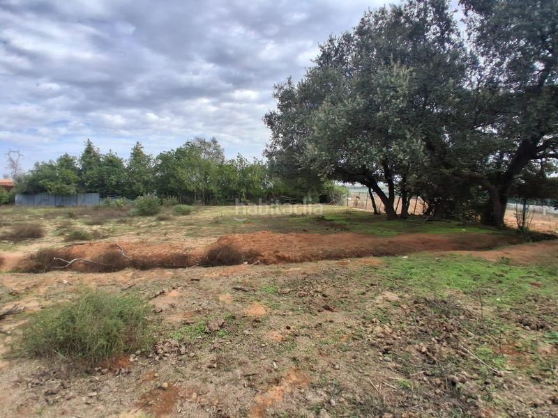 Foto df8f9618-77ba-4396-b45b-579d3c6529bc. Terreno residencial terreno urbano en venta en Almensilla