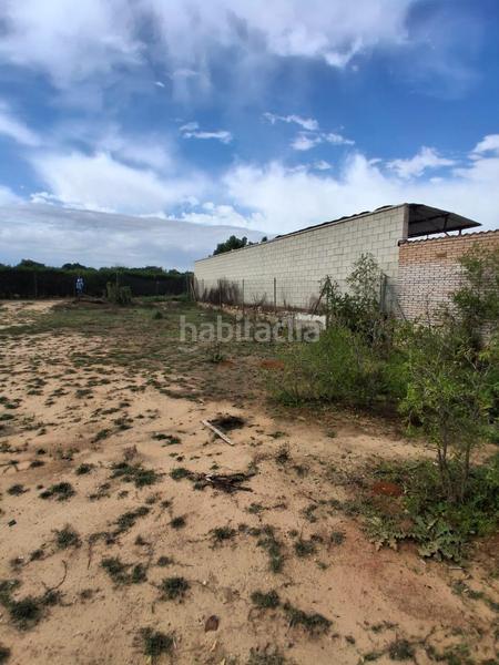 Foto e7ecb69e-2c31-42ff-ae3c-30c3431ac2d1. Terreno residencial terreno urbano en venta en Almensilla