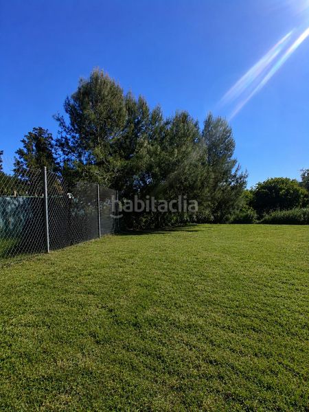 Foto cdf08351-37bf-4340-b8b3-4a02363e41e3. Finca rústica parcela rustica en Puebla del Río (La)