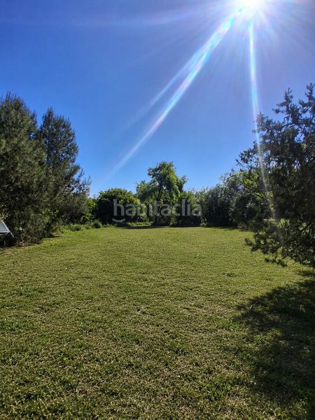 Foto cf889c64-a37b-4ce5-a952-96cbaf7ded55. Finca rústica parcela rustica en Puebla del Río (La)