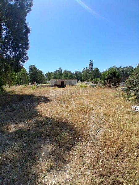 Foto 024c4012-94f9-4d87-a8f0-097251fda5b9. Casa amb piscina a Puebla del Río (La)