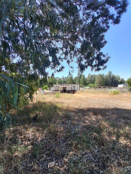 Foto 0ddfe513-5468-46d5-9490-d265987032a9. Casa amb piscina a Puebla del Río (La)