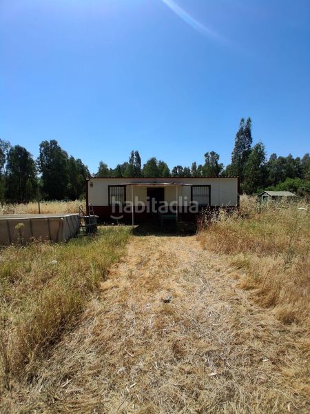 Foto 1a367b80-3e45-4890-9a7b-7e66ec0b13f6. Casa amb piscina a Puebla del Río (La)