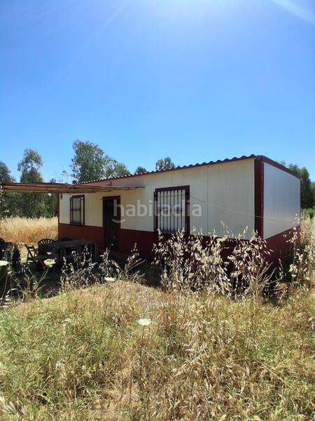 Foto d8544db0-9f0d-4b52-8a84-c5ba043b6289. Casa amb piscina a Puebla del Río (La)