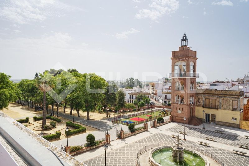 Foto 252300d1-4e73-4695-9847-595d0da753dd. Pis a Puebla del Río (La)