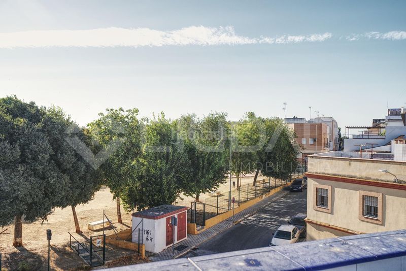 Foto cb0e561d-ef75-4302-b08b-7dedee5b146a. Pis a Coria del Río