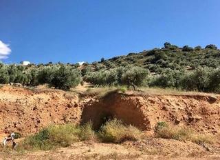 Terreno residencial en Iznalloz. Terreno urbano con olivos en iznalloz !!