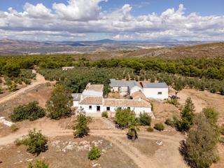 Finca rstica en Cortijo del cura. Terreno con casas rurales en sierra arana, iznalloz!!