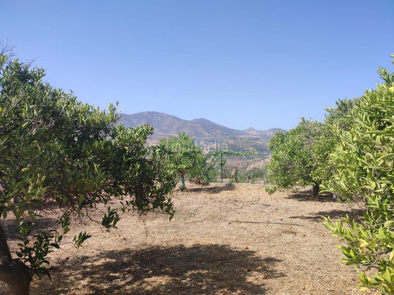 Foto 348f7e25-9d5a-44cb-a52d-d29a36452d12. Finca rústica a Lecrín