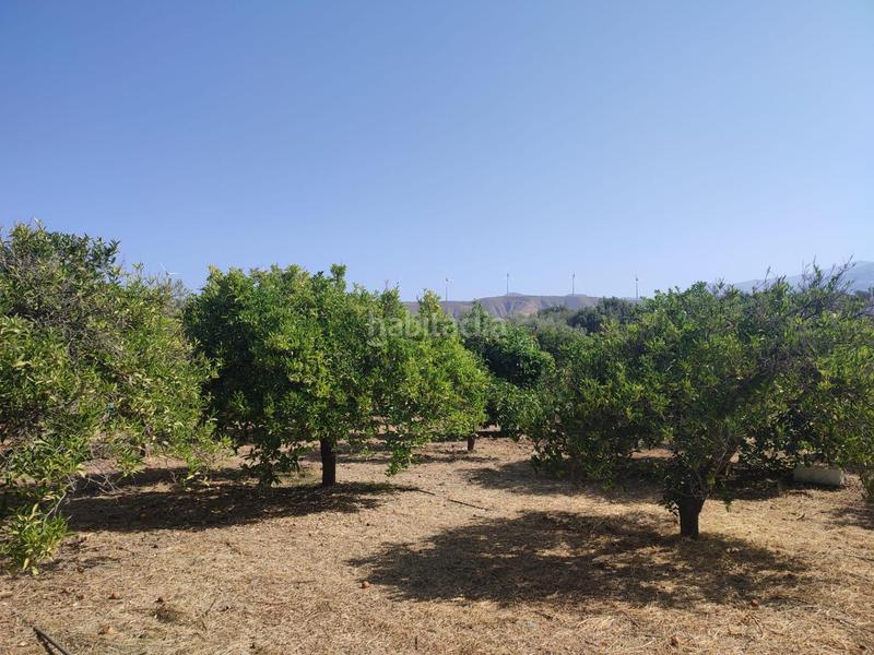 Foto 77b9db06-c852-4c5a-8000-7dc7c7318587. Finca rústica a Lecrín