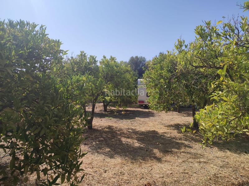 Foto a50e8ca5-7489-4107-918a-03c2dbda02ad. Finca rústica terreno agrícola en lecrin!! en Lecrín