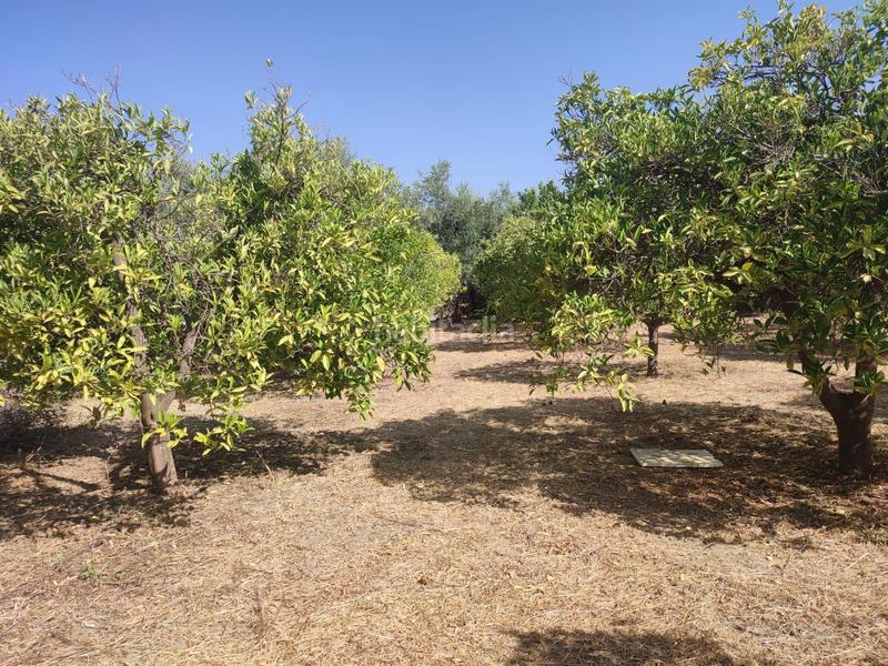 Foto bb0fd572-788e-4478-ba92-a64637101905. Finca rústica a Lecrín