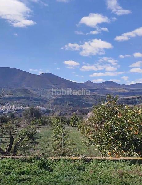 Foto dacc3d88-87f8-4fe0-b390-e6401f138920. Finca rústica terreno agrícola en lecrin!! en Lecrín