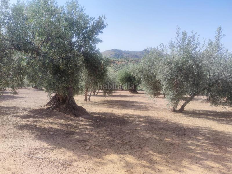 Foto 2f6fcec5-a34a-443e-989d-856d4d25d98f. Fondo rustico in Cogollos de la Vega